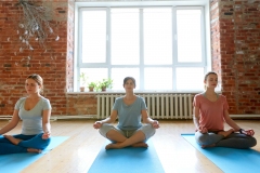 fitness, yoga and healthy lifestyle concept - group of people meditating in lotus pose at studio